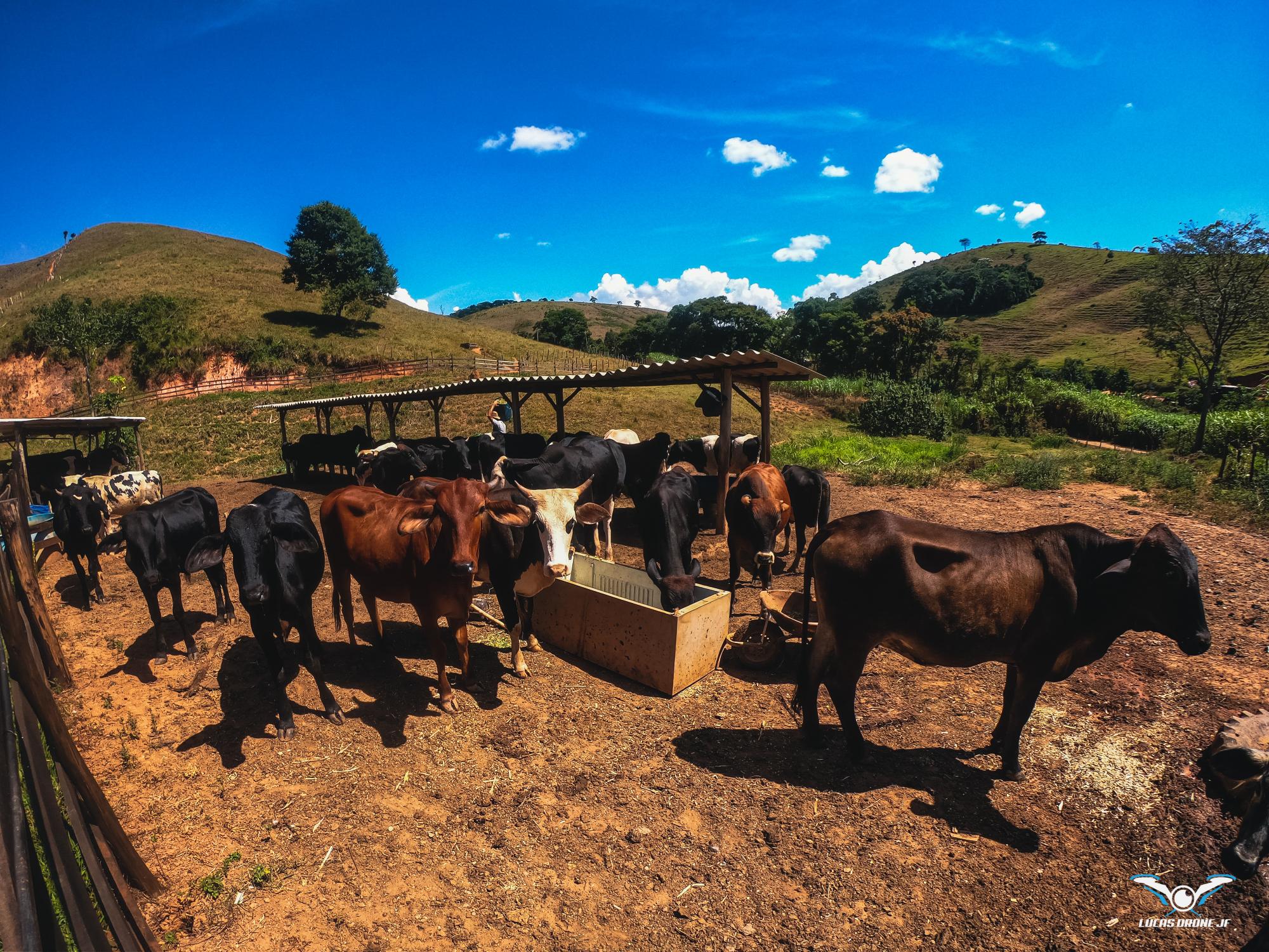 Fazendinha Trilha da Lona - Oportunidade