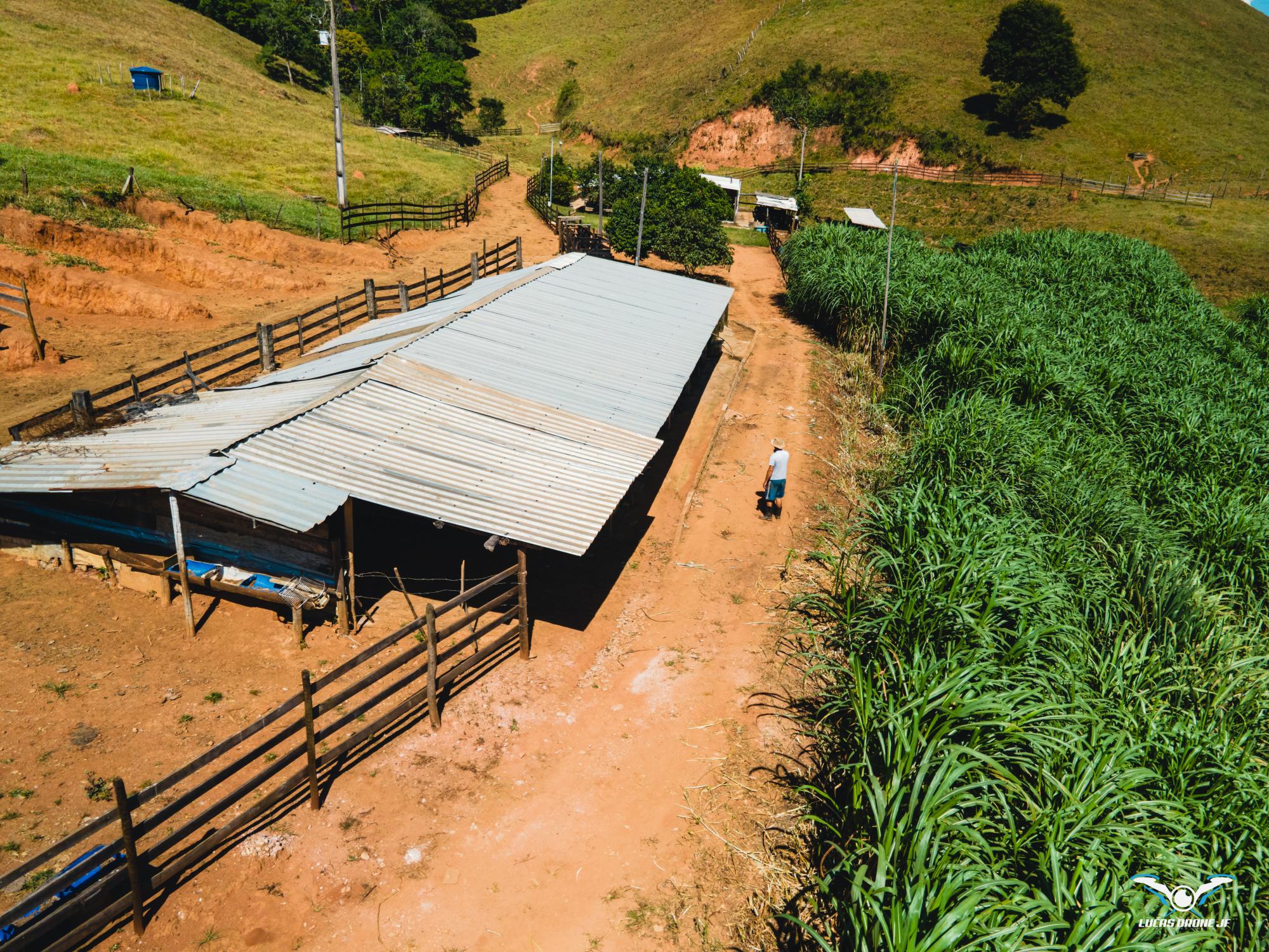 Fazendinha Trilha da Lona - Oportunidade