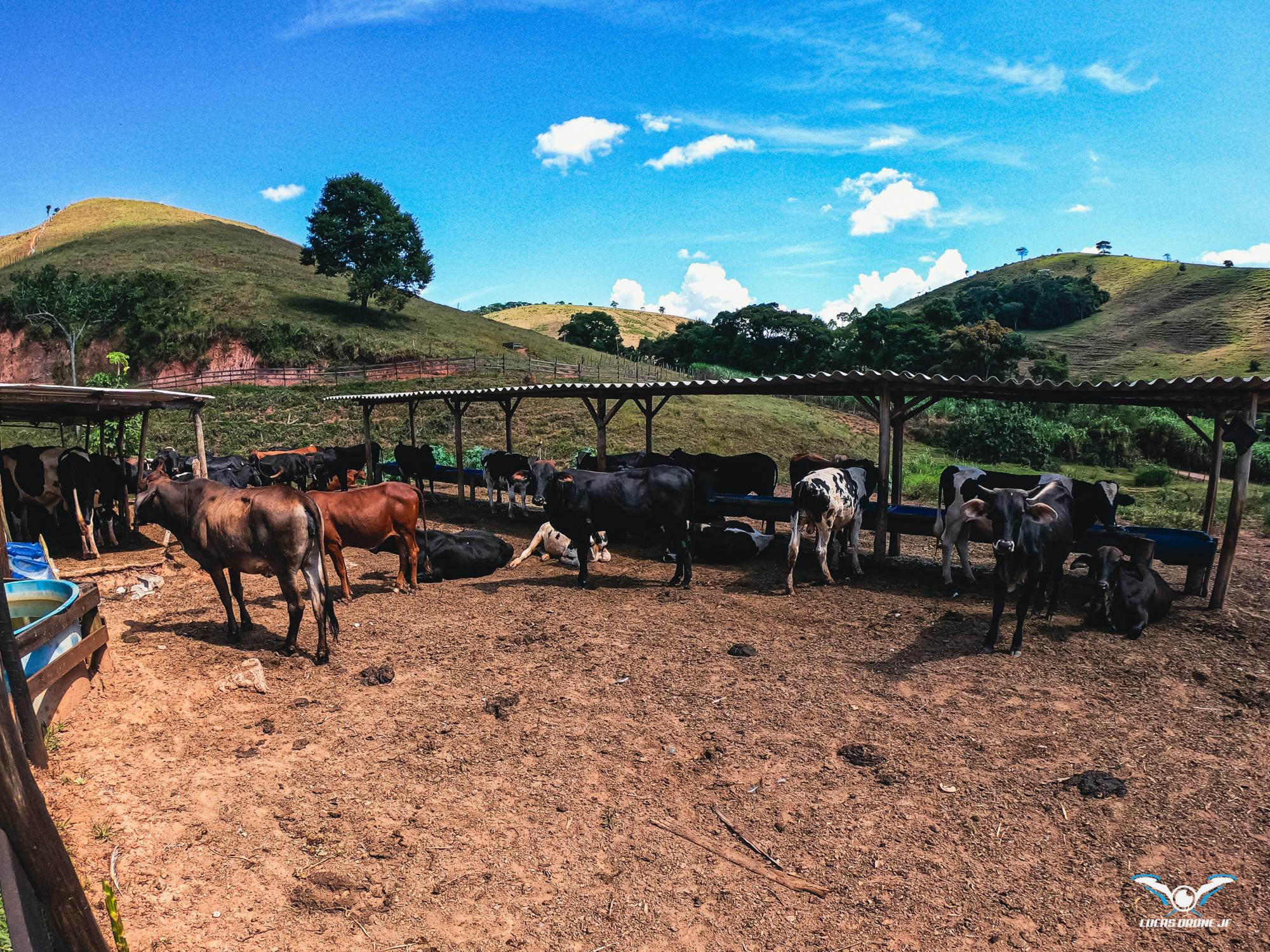 Fazendinha Trilha da Lona - Oportunidade